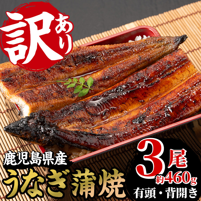 ＜訳あり＞国産うなぎ(鹿児島県産うなぎ)蒲焼(3尾・約460g) 国産 国産魚 九州産 鹿児島県産 魚 魚介 魚介類 鰻 うなぎ 蒲焼 蒲焼き 訳あり 訳アリ 規格外 惣菜 冷凍【南竹鰻加工】【00-025-01-60】