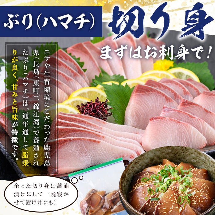 ＜先行予約受付中！＞鹿児島県産！冷凍ぶり(ロイン4節入・計2kg前後/カマ付)国産 九州産 鹿児島産 魚介 魚 旬 ハマチ はまち 養殖 ブリ 鰤 刺身 お刺身 海鮮丼 漬け丼 ブリ大根  ぶりしゃぶ しゃぶしゃぶ 鍋 お鍋 カマ ブリカマ ロイン 切り身 切身 冷凍 先行予約 【全栄フーズ】【00-117-02】
