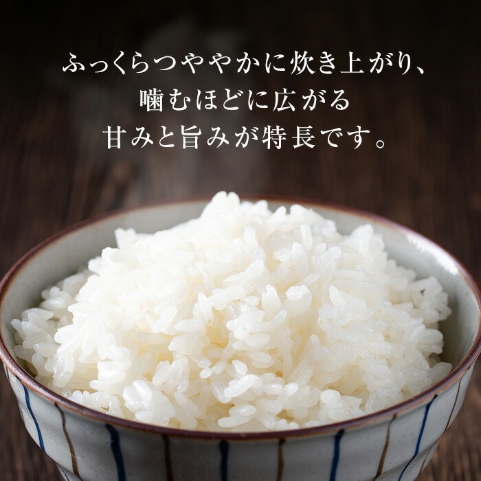 【数量限定 令和7年産米】メダカと共に育ったお米 5kg！ 九州 鹿児島県産 農家直送 の 米 白米 ひのひかり 【00-035-01】