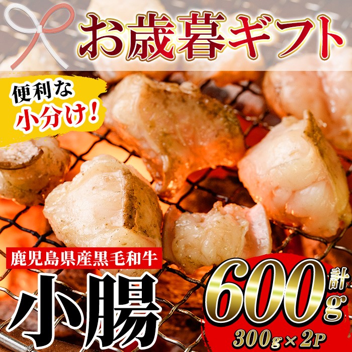 ＜2026年お歳暮ギフト＞鹿児島県産黒毛和牛 小腸(300g×2P・計600g) しょうちょう ホルモン もつ鍋 焼肉 鍋 焼肉用 焼き肉 バーベキュー 冷凍 牛肉 肉 もつ モツ 内臓 国産牛 モツ鍋 もつなべ 小分け 九州 国産 贈答品 ギフト【バクロ】【	00-030-27-R8OS】
