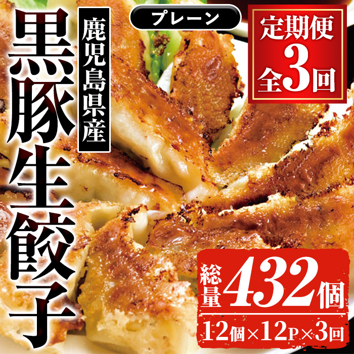 ＜定期便・全3回(毎月)＞鹿児島黒豚の生餃子(12個×12P×3回・総量432個) 黒豚 国産 野菜 おかず おつまみ ぎょうざ ギョウザ 惣菜 冷凍 おかず 弁当 小分け 冷凍【鹿児島協同食品】【00-008-19-TK】