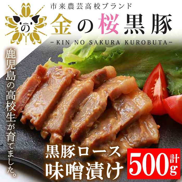 市来農芸高校産 黒豚ロース味噌漬け 100g×5袋(計500g)！豚 豚肉 肉 鹿児島 国産 黒豚 惣菜 味付き肉 味噌 みそ漬け おかず 冷凍 ギフト 贈答【エーエフ企画】【01-057-05】