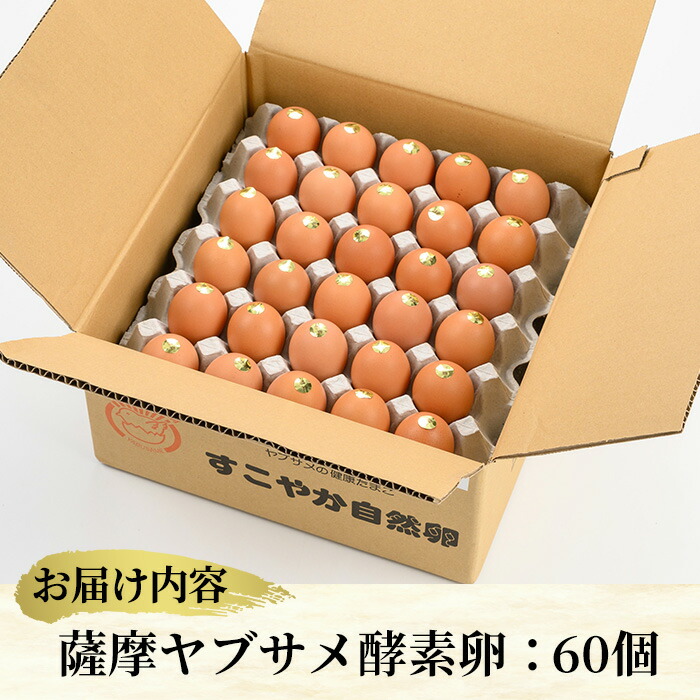 薩摩ヤブサメ酵素卵(60個) 国産 鹿児島県産 たまご 卵 玉子 タマゴ 鶏卵 オムレツ 卵かけご飯 朝食 料理 人気 たまご焼き【ヤブサメファーム】【00-038-02】