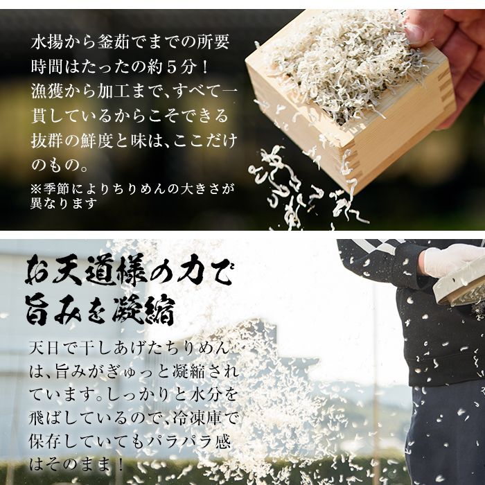 鹿児島県産「網元の天日干しちりめん(計400g・50g×8袋)」 直送 新鮮 鮮度 国産 しらす シラス じゃこ直送 魚 魚介類 さかな 小魚 カルシウム【大久保水産】【00-007-01】