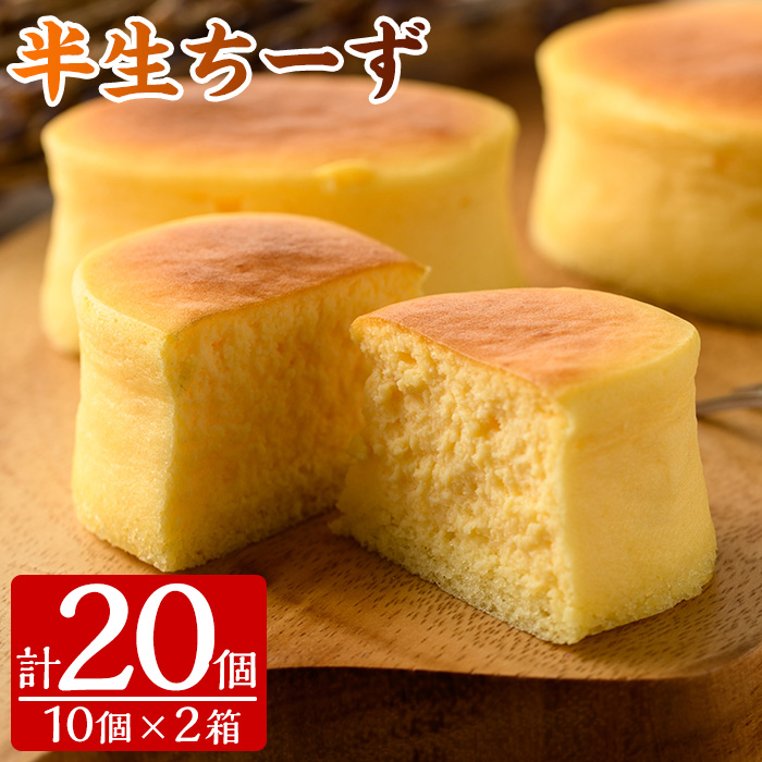 半生チーズ(計20個) スイーツ チーズケーキ お菓子 冷凍 ギフト 個包装 詰め合わせ 詰合せ 贈答 プレゼント 洋菓子【00-014-02】