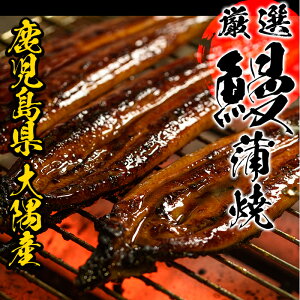 ＜定期便・全6回(毎月)＞国産うなぎ(鹿児島県産うなぎ)の食べ比べ堪能セット(うなぎ蒲焼2尾と白焼き2尾×6回)！国産 国産魚 九州産 鹿児島県産 魚 魚介 鰻 うなぎ ウナギ 蒲焼 蒲焼き 惣菜 冷凍 定期 頒布会【南竹鰻加工】【00-025-18-TK】