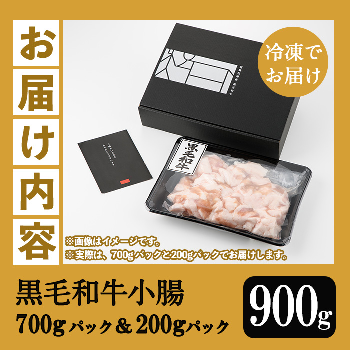 ≪数量限定≫鹿児島県産黒毛和牛の小腸 ホルモン(計900g・700gパック＋200gパック) しょうちょう ホルモン もつ鍋 焼肉 鍋 焼肉用 焼き肉 バーベキュー 冷凍 牛肉 肉 もつ モツ 内臓 国産牛 モツ鍋 もつなべ 九州 国産 ギフト 黒毛和牛 【バクロ】【00-030-08-L】