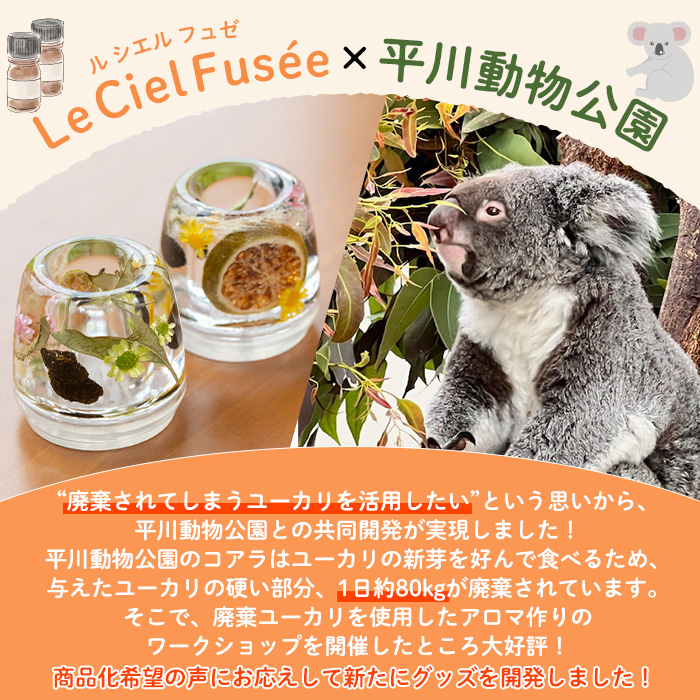 ＜平川動物公園との共同開発！＞コアラからの贈り物 ペンスタンド・ペーパーウェイト(1個)  ルシエルフュゼ 雑貨 文房具 日用品 インテリア ハンドメイド ペンスタンド ペーパーウェイト ペン立て ぽんかん ユーカリ コアラ 動物園 SDGs【LeCiel+b2-cafe】【00-090-12】