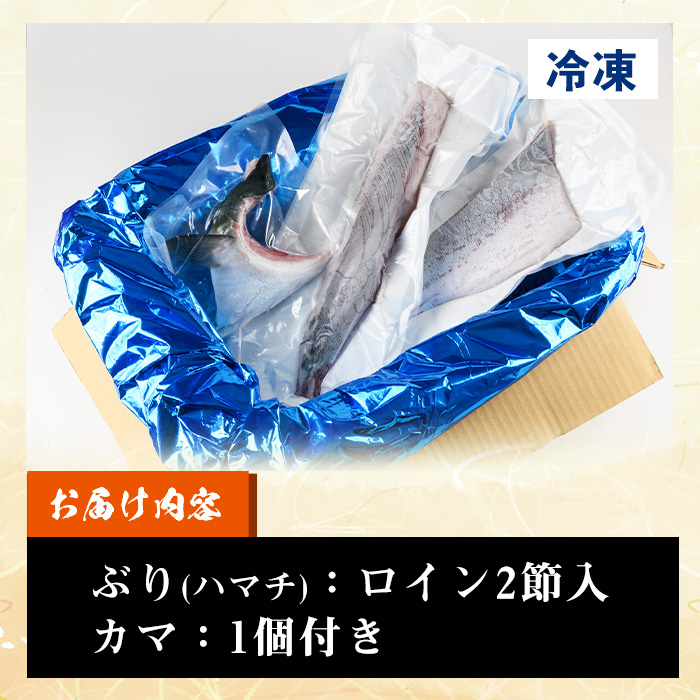 鹿児島県産！冷凍ぶり(ロイン2節入・計1kg前後/カマ付) 国産 九州産 鹿児島産 魚介 魚 旬 鰤 ブリ ぶり ハマチ はまち 刺身 お刺身 海鮮丼 漬け丼 ブリ大根 ぶりしゃぶ しゃぶしゃぶ 鍋 お鍋 カマ ロイン 切身 冷凍【全栄フーズ】【00-117-01】