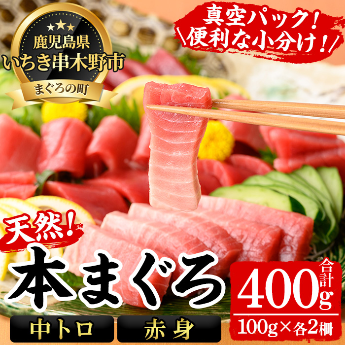天然本まぐろ 中トロ・赤身(合計400g・100g×各2柵) 100g柵でお届け！まぐろ 鮪 マグロ 魚介 刺し身 刺身 さしみ 海鮮丼 本まぐろ 本マグロ 中トロ 赤身 小分け 便利 冷凍 真空パック 新鮮【海鮮まぐろ家】【00-041-15】