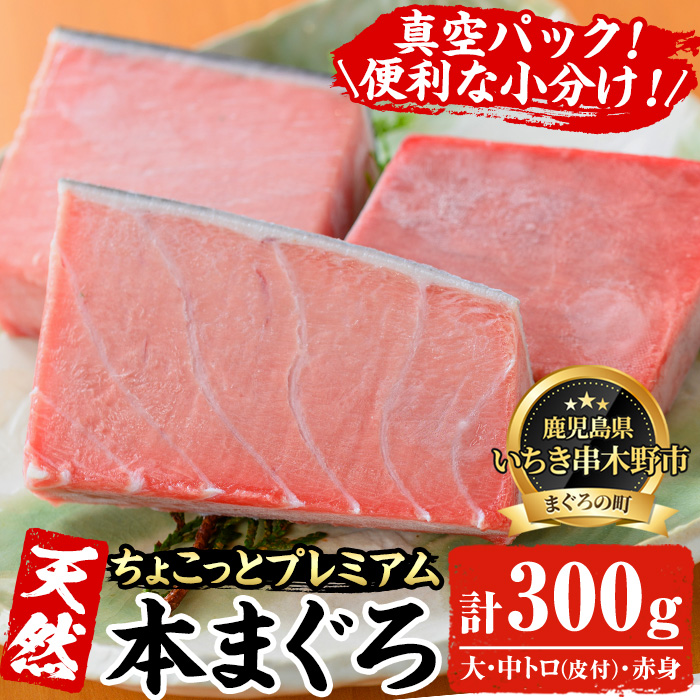 《ちょこっとプレミアム》天然本まぐろフルセット(計300g) 100g柵でお届け！肉厚のお刺身や海鮮丼に！まぐろ 鮪 魚介 刺し身 刺身 さしみ 海鮮丼 本マグロ 小分け 便利 冷凍 新鮮【海鮮まぐろ家】【00-041-10】