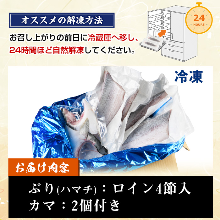 ＜先行予約受付中！＞鹿児島県産！冷凍ぶり(ロイン4節入・計2kg前後/カマ付)国産 九州産 鹿児島産 魚介 魚 旬 ハマチ はまち 養殖 ブリ 鰤 刺身 お刺身 海鮮丼 漬け丼 ブリ大根  ぶりしゃぶ しゃぶしゃぶ 鍋 お鍋 カマ ブリカマ ロイン 切り身 切身 冷凍 先行予約 【全栄フーズ】【00-117-02】