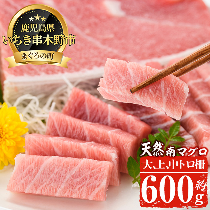 南マグロ極みセット！大とろ・上とろ・中とろの鮪の刺身用柵(計約600g) まぐろ 鮪 南まぐろ 南マグロ 大とろ 中とろ 上とろ 魚介 刺し身 刺身 刺身用 さしみ サク 海鮮丼 小分け 便利 冷凍 希少 新鮮【新洋水産】【00-019-03】