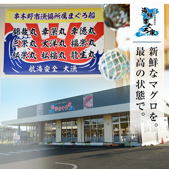 天然本まぐろ 中トロ・赤身(合計400g・100g×各2柵) 100g柵でお届け！まぐろ 鮪 マグロ 魚介 刺し身 刺身 さしみ 海鮮丼 本まぐろ 本マグロ 中トロ 赤身 小分け 便利 冷凍 真空パック 新鮮【海鮮まぐろ家】【00-041-15】