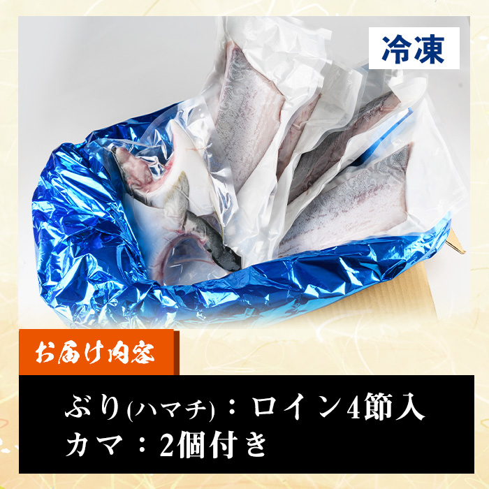 鹿児島県産！冷凍ぶり(ロイン4節入・計2kg前後/カマ付)国産 九州産 鹿児島産 魚介 魚 旬 ハマチ はまち 養殖 ブリ 鰤 刺身 お刺身 海鮮丼 漬け丼 ブリ大根  ぶりしゃぶ しゃぶしゃぶ 鍋 お鍋 カマ ブリカマ ロイン 切り身 切身 冷凍【全栄フーズ】【00-117-02】