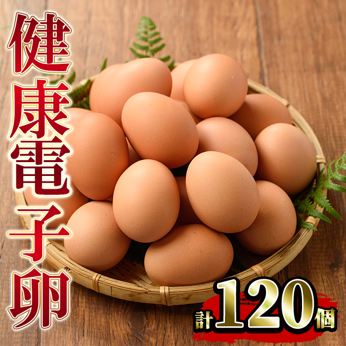 《数量限定》鹿児島県産！健康電子卵(計120個・10個入り×12P) 国産 九州産 たまご タマゴ 玉子 生たまご 親鳥 親鶏 新鮮 鶏卵 卵黄 常温 小分け パック 朝ごはん 卵かけごはん TKG おかず 卵焼き 体質改善 割れ保障 安心 安全【峯元養鶏】【00-095-04】
