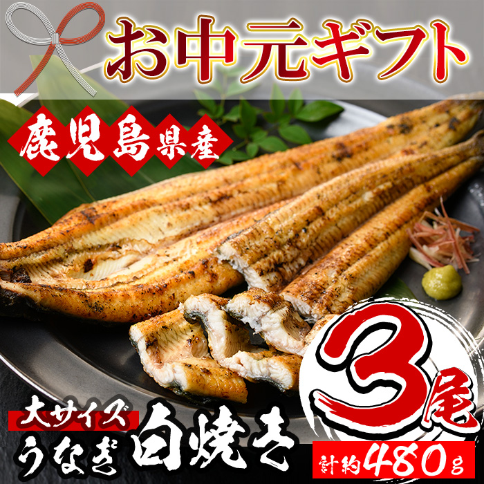 ＜2026年お中元ギフト＞国産うなぎ(鹿児島県産うなぎ)白焼き(大サイズ3尾・約480g) 国産 国産魚 九州産 鹿児島県産 魚 魚介 鰻 うなぎ ウナギ 白焼き 惣菜 冷凍 プレゼント 贈答品【南竹鰻加工】【00-025-08-R8OC】