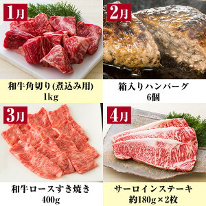 ＜定期便・全12回＞黒毛和牛づくし12ヶ月定期便！サーロインステーキやロース、切り落とし、ブロック、ハンバーグやもつ鍋など！牛肉を1年間定期便でお届け！【バクロ】【00-030-13-TK】