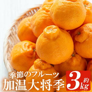 ＜先行予約受付中＞《期間限定・数量限定》JAさつま日置産 加温大将季(約3kg) 蜜柑 柑橘 冬季 果物 フルーツ みかん ミカン だいまさき 化粧箱 旬 常温 常温保存【JAさつま日置北部営農センター】【01-039-02】