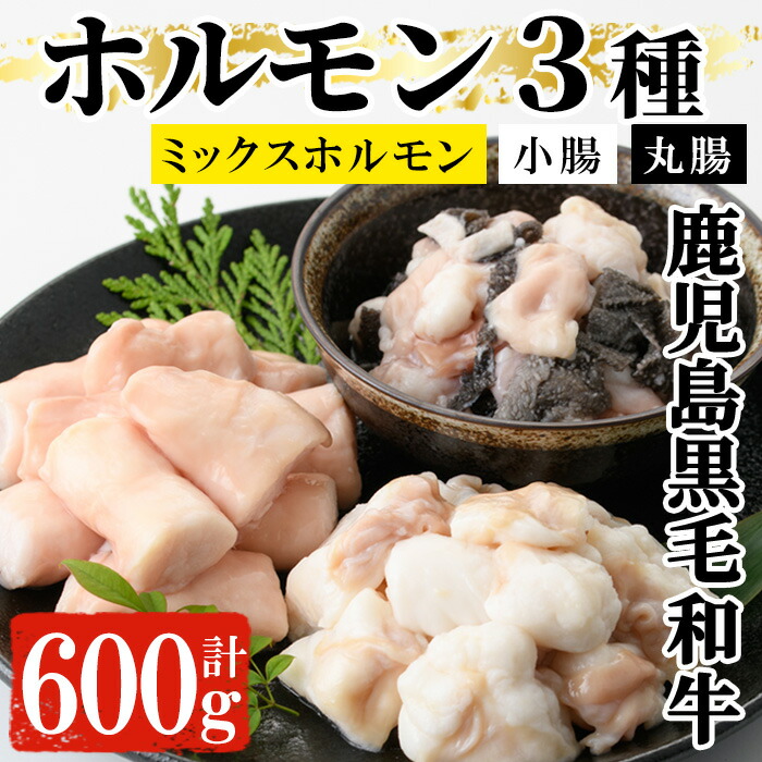 黒毛和牛ホルモン3種盛り合わせ(計600g) 小腸 丸腸 ミックスホルモン 鹿児島県産 牛 牛肉 内臓 ホルモン 肉 国産 九州 焼肉 バーベキュー もつ鍋 ホルモン焼 炒め物 和牛 おかず 冷凍【バクロ】【00-030-05】