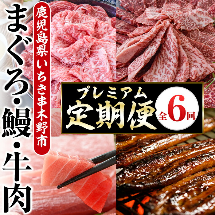 ＜定期便(毎月)・全6回＞いちき串木野プレミアム定期便(まぐろ・鰻・牛肉) 鹿児島 マグロ 鮪 本まぐろ 本マグロ うなぎ 蒲焼き 白焼き 鹿児島黒牛 ステーキ すき焼き サーロイン ウデスライス リブロース 肩ロース【いちき串木野観光物産センター】【00-016-04-TK】