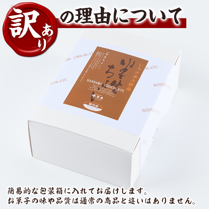 《訳あり》半生ちょこ(計17個) スイーツ バレンタイン ホワイトデー 濃厚 チョコ お菓子 銘菓 冷凍 詰め合わせ 詰合せ 個包装 簡易包装 家庭用 自宅用 洋菓子【菓子処 菊屋】【00-014-03】