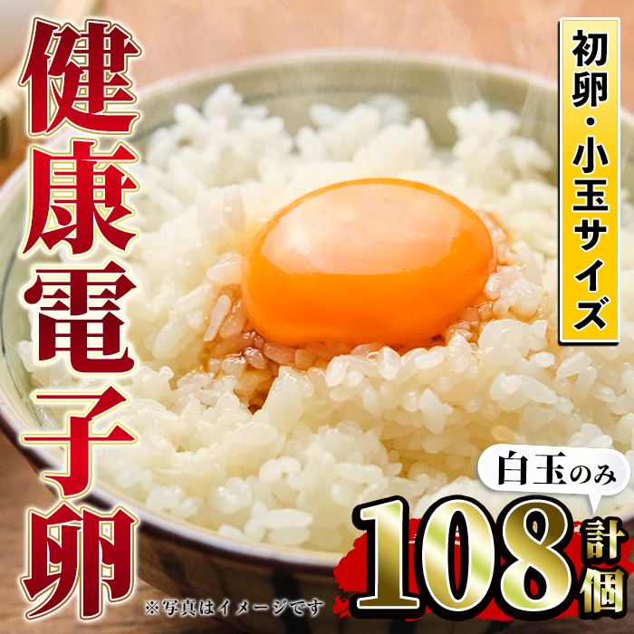 健康電子卵 初卵・白(計108個・54個入り×2枚) 国産 九州産 たまご タマゴ 玉子 生たまご 若鶏 若鳥 新鮮 鶏卵 小玉 パック 朝ごはん 卵かけごはん TKG おかず 卵焼き 割れ保障 安心 安全【峯元養鶏】【00-095-07】