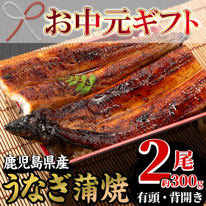 ＜2026年お中元ギフト＞国産うなぎ(鹿児島県産うなぎ)蒲焼(2尾・約300g) 国産 国産魚 九州産 鹿児島県産 魚 魚介 鰻 うなぎ ウナギ 蒲焼 蒲焼き 惣菜 冷凍 プレゼント 贈答品【南竹鰻加工】【00-025-03-R8OC】