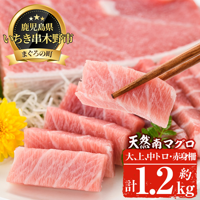 南マグロ極上セット！大とろ・上とろ・中とろ・赤身の鮪刺身用柵(計約1.2kg) まぐろ 鮪 南まぐろ 南マグロ 大とろ 中とろ 上とろ 魚介 刺し身 刺身 刺身用 さしみ サク 海鮮丼 小分け 便利 冷凍 希少 新鮮 【新洋水産】【00-019-04】