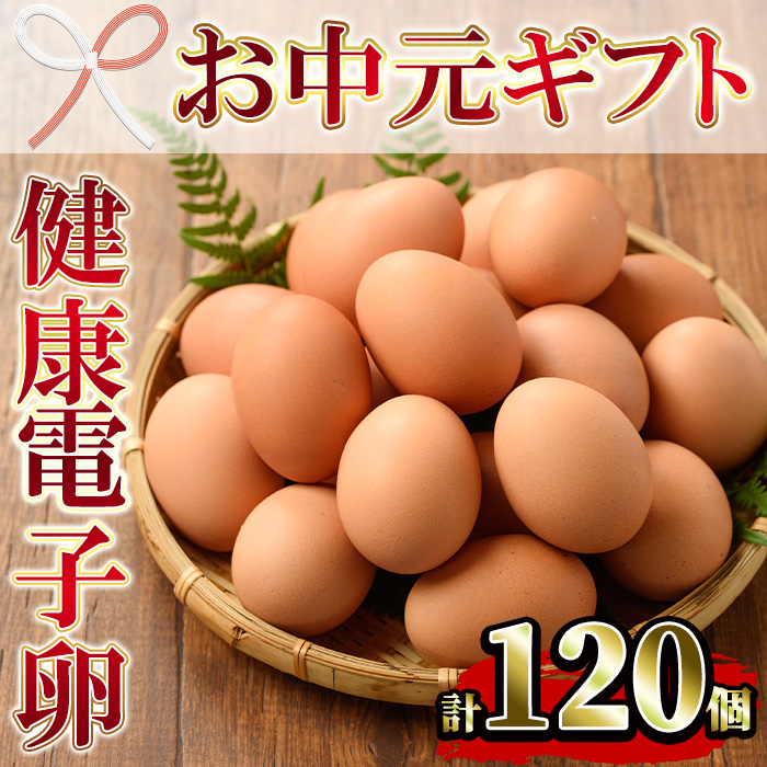 ＜2026年お中元ギフト＞鹿児島県産！健康電子卵(計120個・10個入り×12P) 国産 九州産 たまご タマゴ 玉子 生たまご 親鳥 親鶏 新鮮 鶏卵 小分け パック 朝ごはん おかず 割れ保障 安心 安全【峯元養鶏】【00-095-04-R8OC】