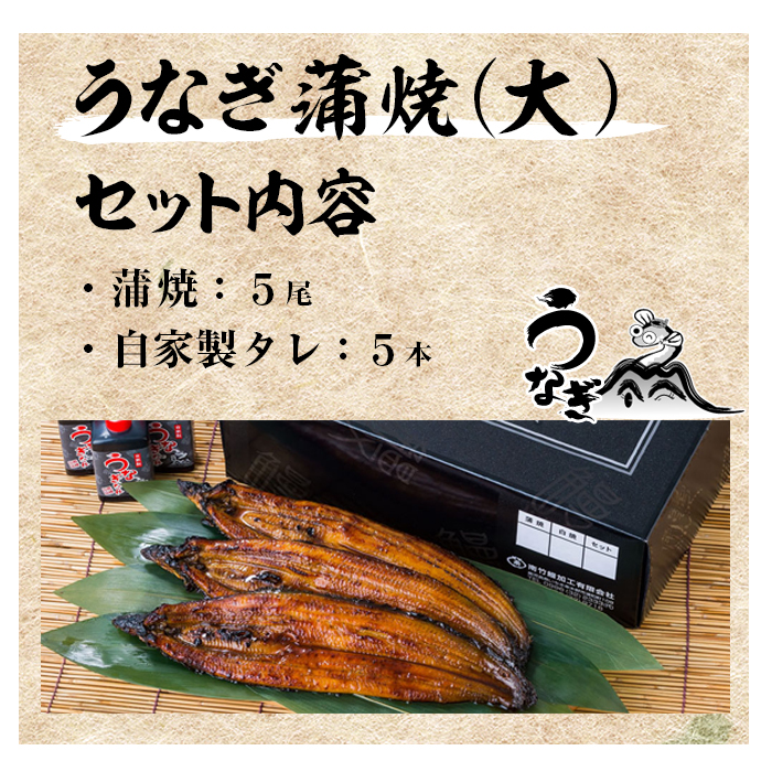 国産うなぎ(鹿児島県産うなぎ)蒲焼(大サイズ5尾・計約800g・タレ付き) 国産 国産魚 九州産 鹿児島県産 魚 魚介 鰻 うなぎ ウナギ 蒲焼 蒲焼き 惣菜 冷凍【南竹鰻加工】【00-025-13】