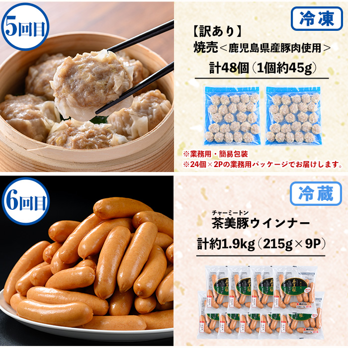 ＼新登場／＜定期便・全6回(毎月)＞鹿児島協同食品バラエティー定期便 国産 鹿児島 豚肉 加工品 惣菜 おかず 弁当 定期便 バラエティ 角煮 メンチカツ 餃子 サラダチキン ウインナー 焼売 時短 手軽 簡単 冷凍 常温【鹿児島協同食品】【00-008-33-TK】