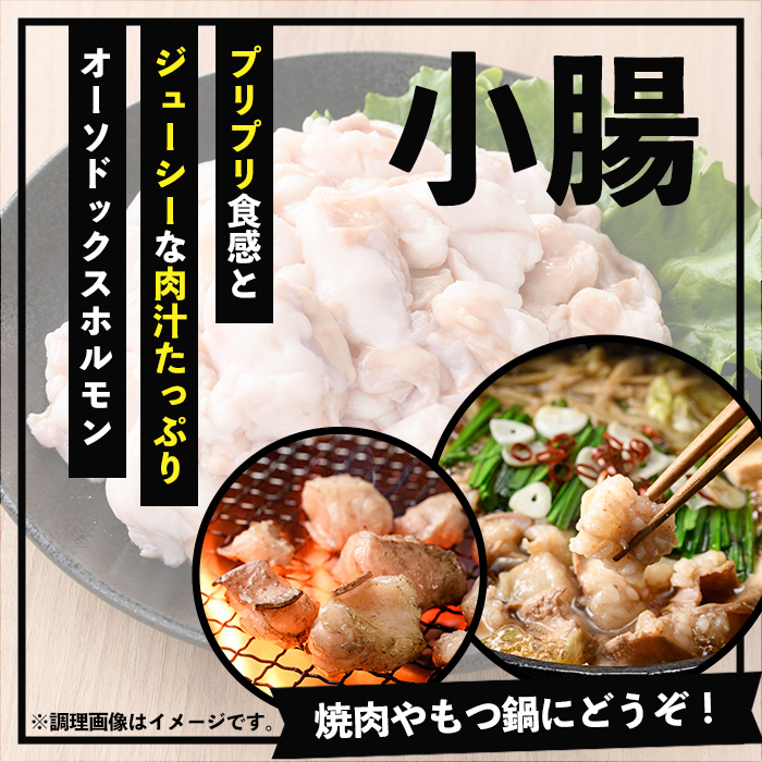 ＜2026年お中元ギフト＞鹿児島県産黒毛和牛 小腸(計700g) 鹿児島県産 ホルモン もつ鍋 焼肉 鍋 焼肉用 焼き肉 バーベキュー 冷凍 牛肉 肉 もつ モツ 内臓 国産牛 モツ鍋 もつなべ 九州 国産 贈答品 ギフト【バクロ】【00-030-08-R8OC】