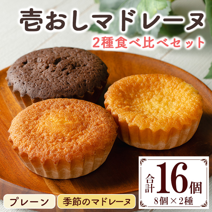 壱おしマドレーヌセット(8個×2種・合計16個) 鹿児島 お菓子 菓子 洋菓子 焼菓子 焼き菓子 スイーツ マドレーヌ プレーン レモン チョコ 詰め合わせ 個包装 食べ比べ セット ギフト プレゼント 贈答 贈り物 【モン・シェリー松下】【00-012-01】