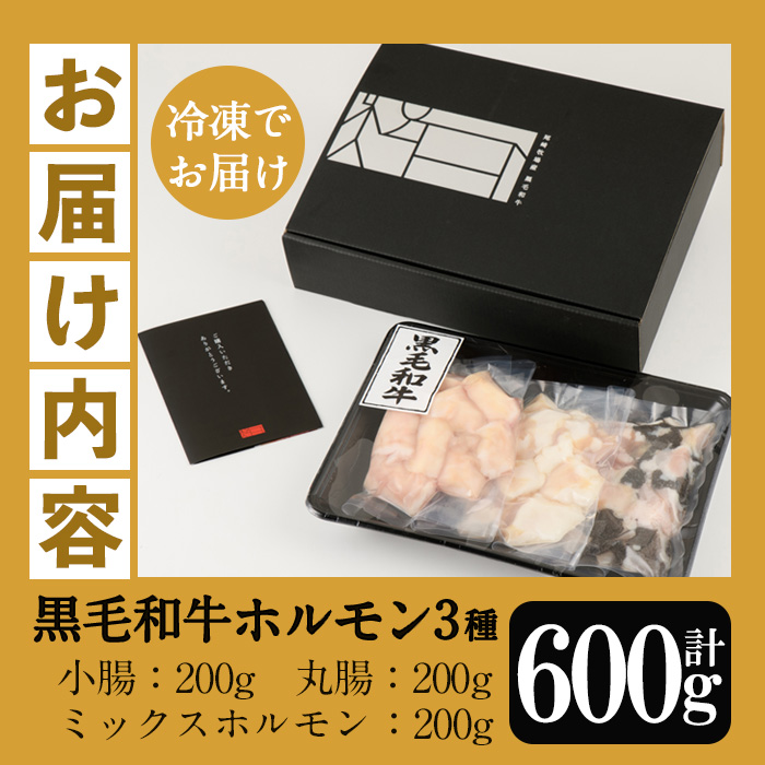 黒毛和牛ホルモン3種盛り合わせ(計600g) 小腸 丸腸 ミックスホルモン 鹿児島県産 牛 牛肉 内臓 ホルモン 肉 国産 九州 焼肉 バーベキュー もつ鍋 ホルモン焼 炒め物 和牛 おかず 冷凍【バクロ】【00-030-05】