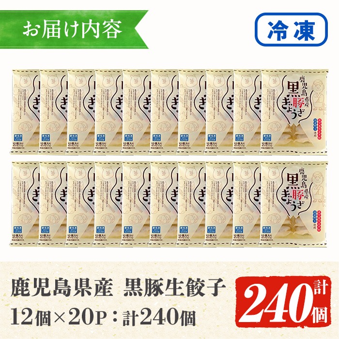 鹿児島黒豚の生餃子(12個×20P・計240個) 黒豚 国産 野菜 おかず おつまみ ぎょうざ ギョウザ 惣菜 冷凍 おかず 弁当 小分け【鹿児島協同食品】【00-008-27】