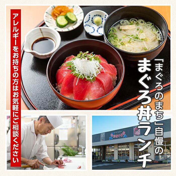 「たけどん」と往く串木野麓めぐり体験(城郭符とまぐろランチ付)いちき串木野市ならではの体験型観光プログラム！話題の日本遺産とまぐろ丼を楽しむ【いちき串木野観光物産センター】【00-016-01】