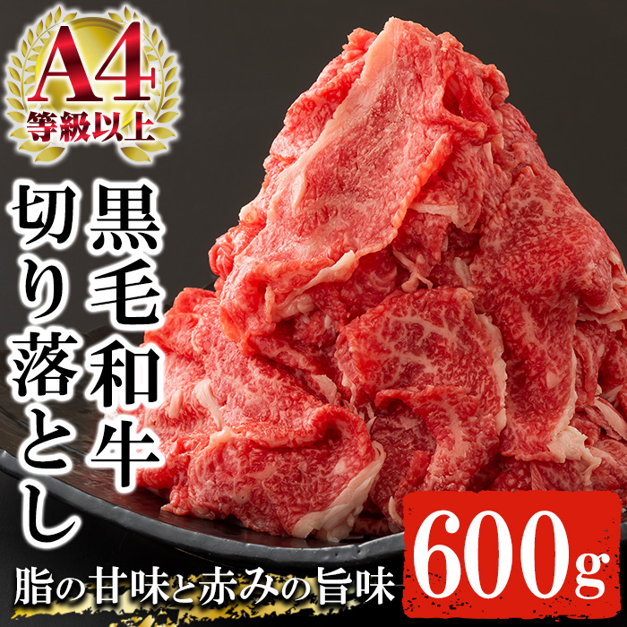 ＜2026年お中元ギフト＞鹿児島県産黒毛和牛切り落とし(約600g・300g×2P) 鹿児島県産 九州 黒毛和牛 牛肉 肉 国産 牛 切り落とし カレー 牛丼 肉じゃが 冷凍 贈答品 ギフト【バクロ】【00-030-11-R8OC】