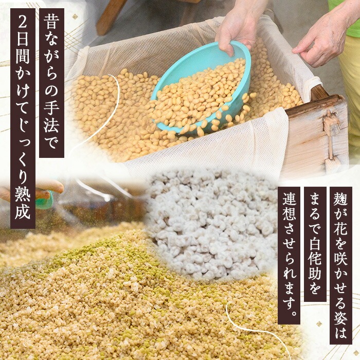 《数量限定》手作り麦味噌(計5kg・1kg×5袋) 国産 鹿児島 麦 麦みそ むぎ むぎみそ 味噌 ミソ 味噌汁 みそしる みそ汁 お味噌 てづくり 手造り 自家製 麹 こうじ 味味噌 調味料 加工品 加工食品 栄養 健康 小分け【侘び助】【00-047-01】