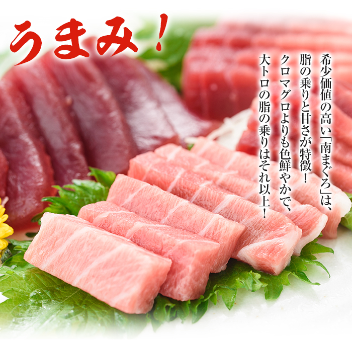 南マグロ極上セット！大とろ・上とろ・中とろ・赤身の鮪刺身用柵(計約1.2kg) まぐろ 鮪 南まぐろ 南マグロ 大とろ 中とろ 上とろ 魚介 刺し身 刺身 刺身用 さしみ サク 海鮮丼 小分け 便利 冷凍 希少 新鮮 【新洋水産】【00-019-04】