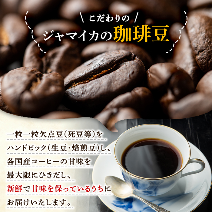 ブレンドコーヒーセット (5種・計500g ) 5種の 珈琲 セット をお届け！【珈琲堂ジャマイカ】【00-042-01】