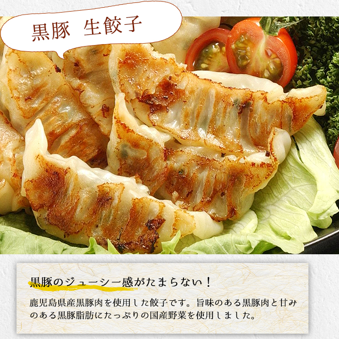 ＜総寄附件数11万件超！＞鹿児島黒豚の生餃子(12個×12P・計144個) 黒豚 国産 野菜 おかず おつまみ ぎょうざ ギョウザ 惣菜 冷凍 おかず 弁当 小分け 【鹿児島協同食品】【00-008-14】