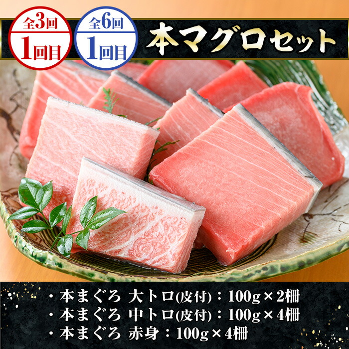 ＜定期便(毎月)・全3回＞いちき串木野プレミアム定期便(まぐろ・鰻・牛肉) 鹿児島 マグロ 鮪 本まぐろ 本マグロ うなぎ 蒲焼き 鹿児島黒牛 ステーキ すき焼き サーロイン ウデスライス【いちき串木野観光物産センター】【00-016-03-TK】