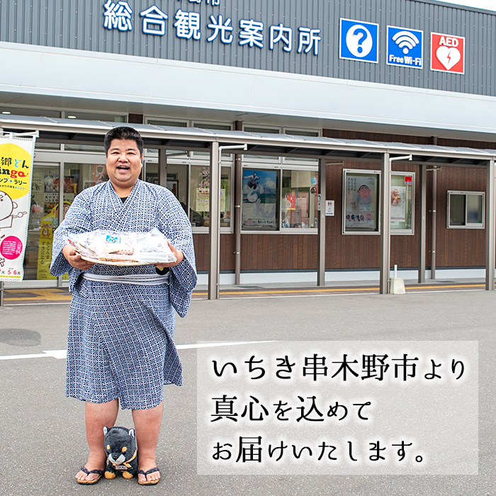 いちき串木野特産品！さつま揚げ＆ご当地ラーメン(生麺)＆ちりめんセット＜5種＞本場の薩摩揚げ、まぐろラーメン、鹿児島黒豚とんこつラーメン、ちりめんじゃこなど人気の逸品を詰め合わせ♪【いちき串木野観光物産センター】【00-016-02】
