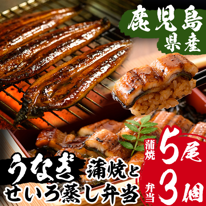 国産うなぎ(鹿児島県産うなぎ)蒲焼(5尾・約800g)と鰻せいろ蒸し弁当(280g×3個) 国産 国産魚 九州産 鹿児島県産 魚 魚介 鰻 うなぎ ウナギ 蒲焼 蒲焼き 惣菜 冷凍 弁当【南竹鰻加工】【00-025-14】