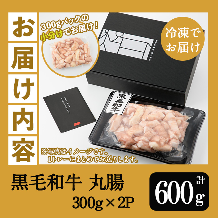 ＜2026年お中元ギフト＞鹿児島県産黒毛和牛 丸腸(300g×2P・計600g)！牛肉 肉 国産 牛 まるちょう ホルモン もつ鍋 鍋 モツ 内臓 小分け 焼き肉 焼肉用 贈答品 ギフト【バクロ】【00-030-26-R8OC】