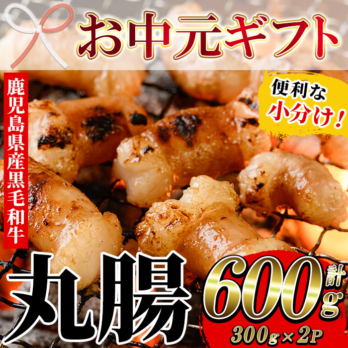 ＜2026年お中元ギフト＞鹿児島県産黒毛和牛 丸腸(300g×2P・計600g)！牛肉 肉 国産 牛 まるちょう ホルモン もつ鍋 鍋 モツ 内臓 小分け 焼き肉 焼肉用 贈答品 ギフト【バクロ】【00-030-26-R8OC】