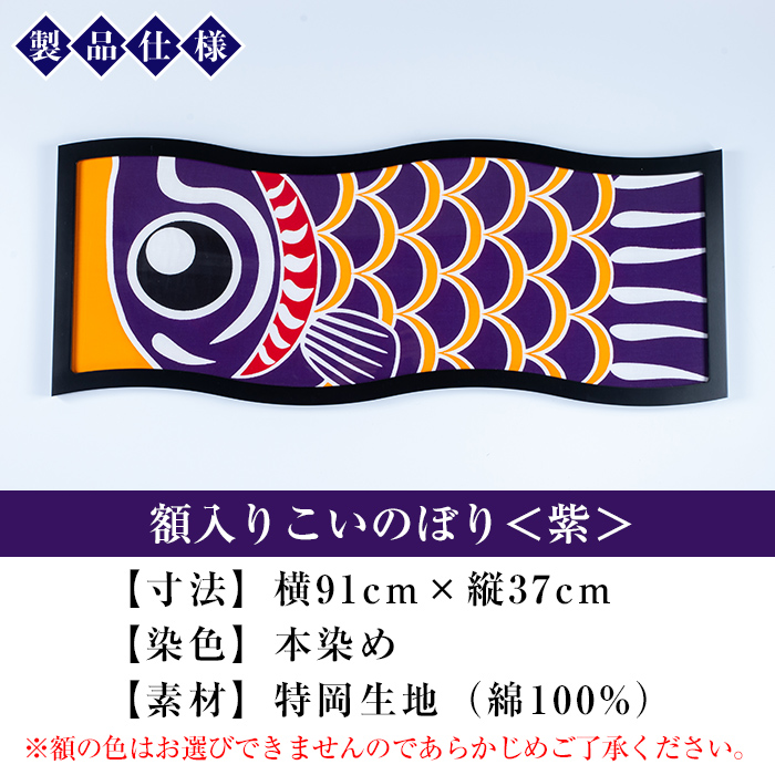 ≪ESSE金賞≫額入りこいのぼり＜紫＞鹿児島 いちき串木野 こいのぼり 鯉のぼり 額入り 本染め 染め物 染物 名入れ お祝い 贈り物 伝統 伝統工芸 2023 ESSE グランプリ 受賞【亀崎染工】【00-085-09f】