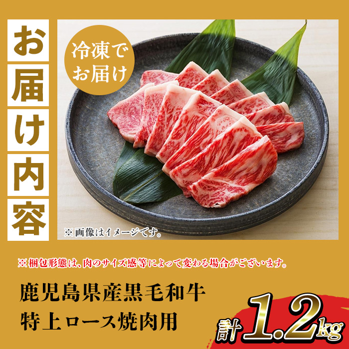 ＜2026年お中元ギフト＞鹿児島県産黒毛和牛 特上ロース焼肉 (計1.2kg) 牛肉 肉 黒毛和牛 国産 国産牛 九州 鹿児島 鹿児島県産 ロース ロース肉 焼肉 焼き肉 冷凍 ギフト【バクロ】【00-030-33-R8OC】