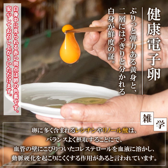 《数量限定》鹿児島県産！健康電子卵(計120個・10個入り×12P) 国産 九州産 たまご タマゴ 玉子 生たまご 親鳥 親鶏 新鮮 鶏卵 卵黄 常温 小分け パック 朝ごはん 卵かけごはん TKG おかず 卵焼き 体質改善 割れ保障 安心 安全【峯元養鶏】【00-095-04】